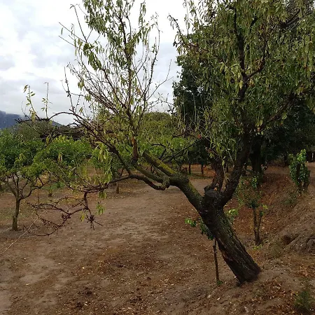 Casa rural Finca Cecilio