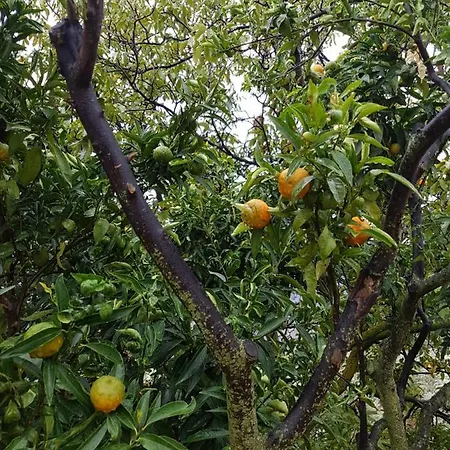 Finca Cecilio Casa rural *