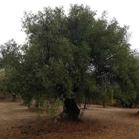 Finca Cecilio Casa rural *