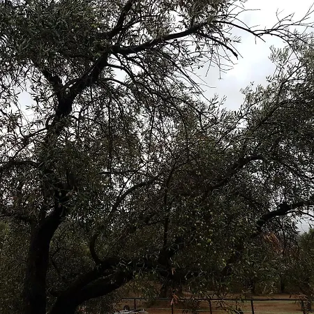 Finca Cecilio