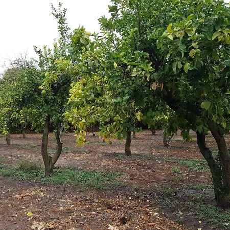 Finca Cecilio Casa rural
